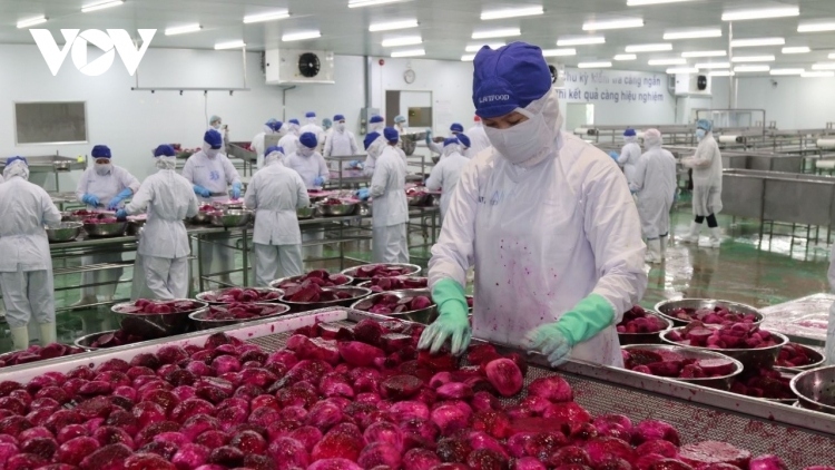 Conference seeks to fully tap into Asian, African markets